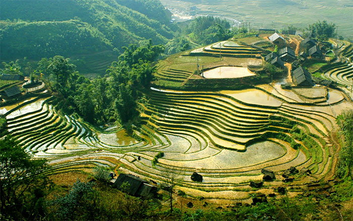 Sapa Express Bus – Private Day Tours